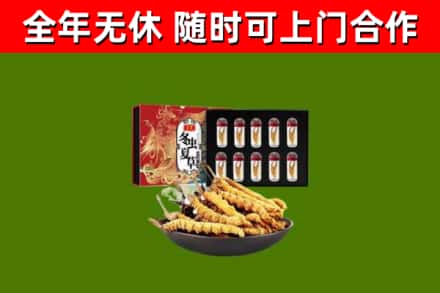 黄石烟酒回收冬虫夏草礼盒.jpg